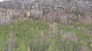 Alberta / BC Border in the East Kootenay, British Columbia