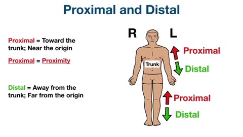 Anatomical Position and Directional Terms [Anatomy MADE EASY]