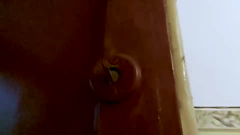 There is a mechanical doorbell in my apartment