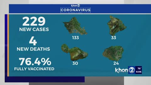 Hawaii reports 229 COVID cases, 4 new deaths