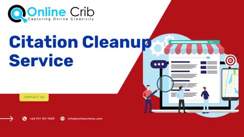 Citation Cleanup Service