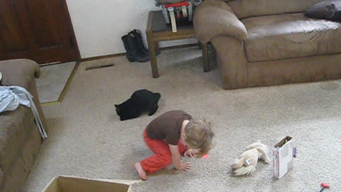 Baby and cat duel for the laser pointer