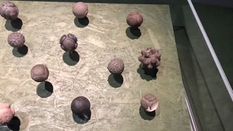 Neolithic stone balls: What were they used for?