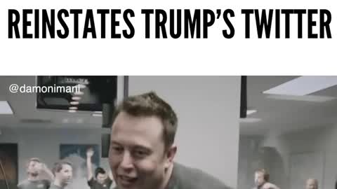 The Moment Elon Musk Reinstates President Trumps Twitter Account