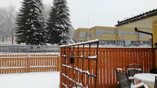 Sudden Snow Blankets Finland After Fine Day
