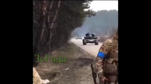 Ukrainian friendly fire