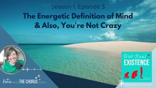 S01E03 The Energetic Definition of Mind & Also, You're Not Crazy - Our Next Existence podcast