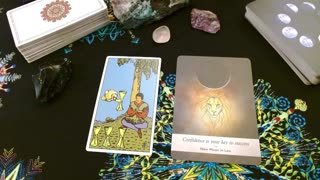 Tarot Insights: Reignite Your Inner Lion adn Regain Your Confidence and Motivation