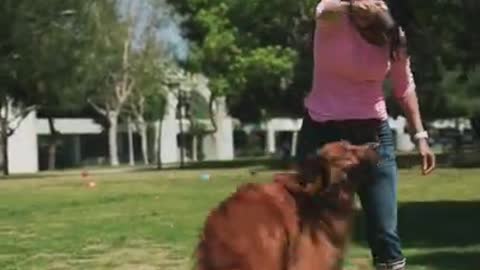 Cute #Dog Training #shorts Video| WhatsApp Status #viral Video
