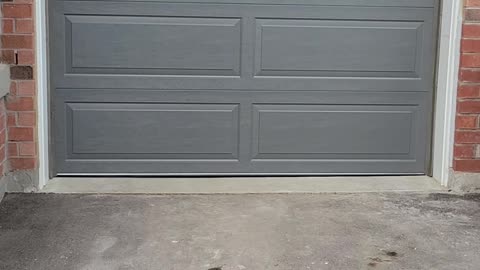 My new garage door