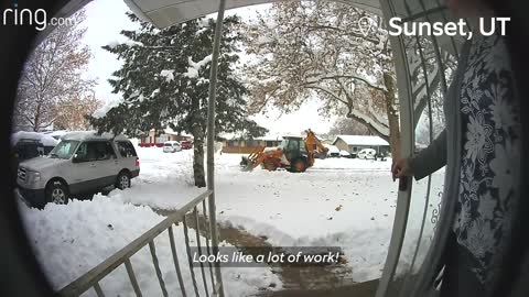 Little Girl Crosses Paths With a Bobcat and dad forgets dog outside | neighborhood stories