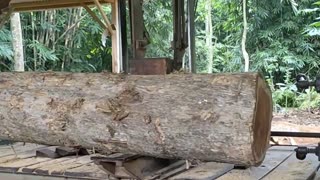 Quality Teak Wood Ordered by Balinese Residents Sawing Process in Assembled Machine