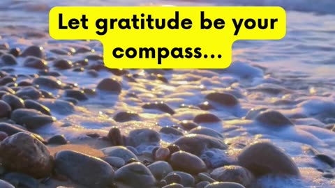 Why Gratitude is important #shorts #BelieveAndAchieve #Resilience #InnerStrength