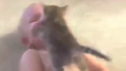 Lindo bebe jugando con gato