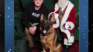 We Took a German Shepherd to Get Pictures With Santa