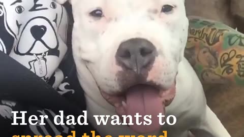 Pit Bull With Rare Disorder Finds Best Dad Ever | The Dodo