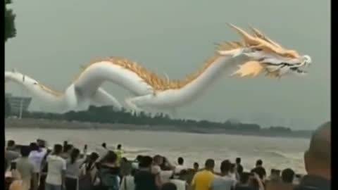 Tik tok chinese dragon