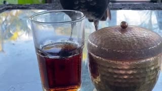 Bird Wants the Bourbon