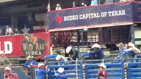 Mesquite Texas Rodeo. Bull riding Saturday night.