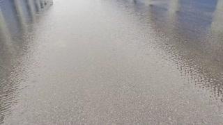 rain puddle