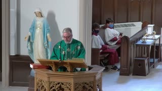 6th Sunday After Pentecost - Homily