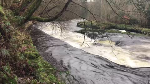 Bonnie Scotland. The River Gryffe.