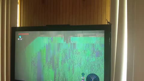 Breath of the Wild: Strange glitch.