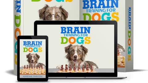 Brain Training For Dog's! Unlock Your Pet's Intelligence!