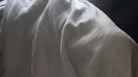 Who is under this blanket?? (cute)