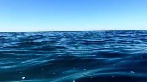 What it looks like at eye level to the ocean