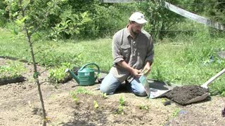 How to Kill Weeds Naturally