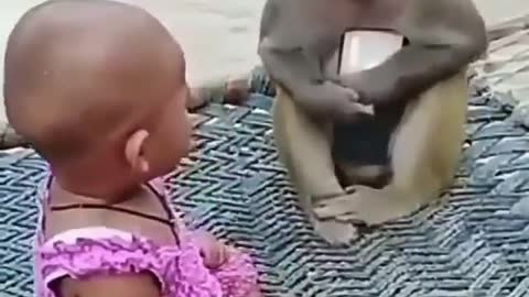 monkey steals baby cell phone - very funny