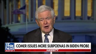 Newt Gingrich: Every American will understand Biden's level of corruption