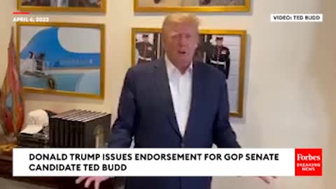 Donald Trump Promotes GOP Senate Candidate Ted Budd In New Ad