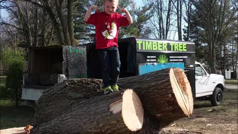Timber Tree - (734) 270-4408