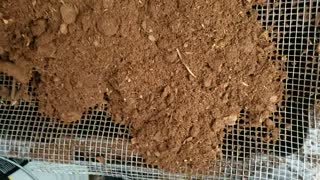 Part 2 - How To Make A Quick, Simple, Cheap Soil Siffer & Make Your Own seed Starting Mix