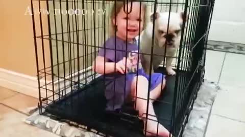 Cute Dogs and Babies-Dogs Babysitting Babies Video