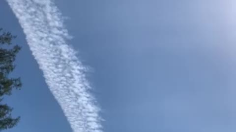 Chemtrails in N CA
