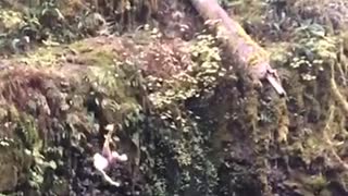 Slowmo shirtless guy attempts backflip off grassy cliff backflops lake