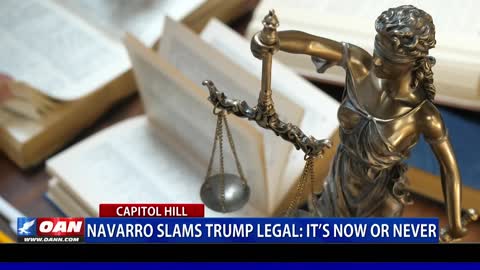 Navarro slams Trump legal team, says 'it's now or never'