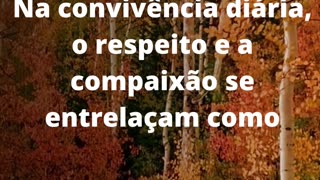 #respeitoecompaixão