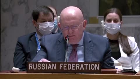 Russia Speaks at UN - US Funded Bio Weapons in Ukraine