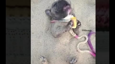 Happy on the beach