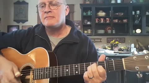 Steve Goodman Vegematic - cover by John Adams