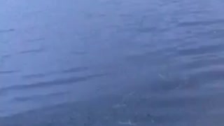 Man catches fish with hand in lake