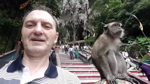 Selfie with macaque goes wrong