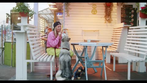 Dog Training, Funniest & Cutest Dog Videos - Puppy Videos 2023