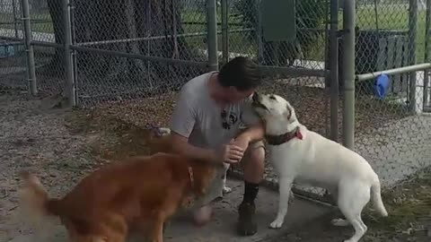 Veteran Is Reunited With His Missing Dog After 22 Days