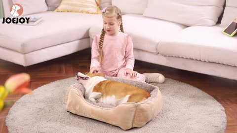 JOEJOY Rectangle Dog Bed