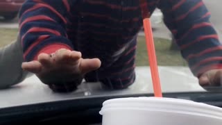 Toddler Tries To Drink Soda Through Car Windshield